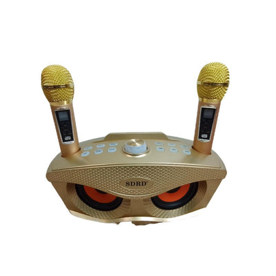 SDRD Speaker With 2 Wireless Microphones (SD-306 PLUS)